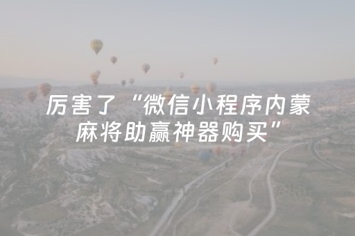 厉害了“微信小程序内蒙麻将助赢神器购买”（AI辅助胡牌规则)