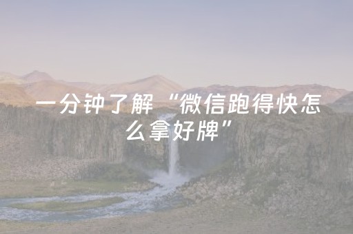 一分钟了解“微信跑得快怎么拿好牌”（神器通用版)