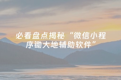 必看盘点揭秘“微信小程序锄大地辅助软件”（如何提高胜率)