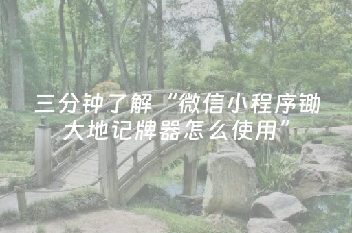 三分钟了解“微信小程序锄大地记牌器怎么使用”（助赢神器)