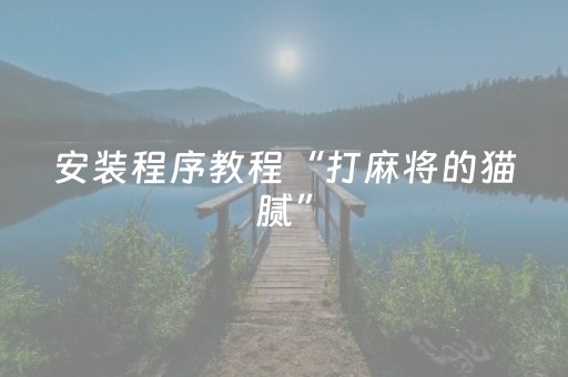 安装程序教程“打麻将的猫腻”（开挂辅助插件)