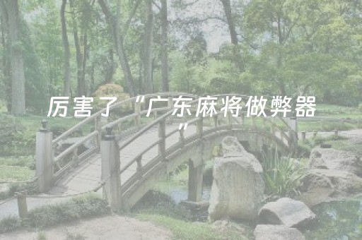 厉害了“广东麻将做弊器”（神器通用版)