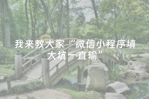 我来教大家“微信小程序填大坑一直输”（怎么提高胜率)