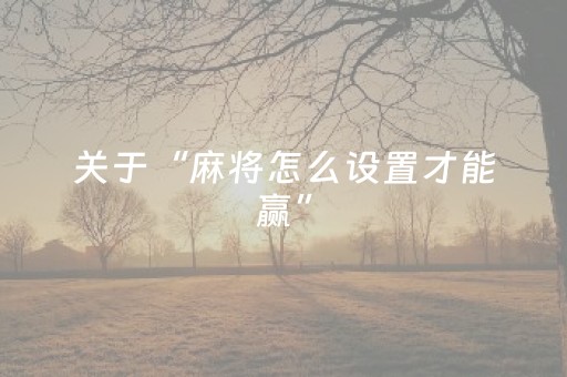 关于“麻将怎么设置才能赢”（辅助器通用版)