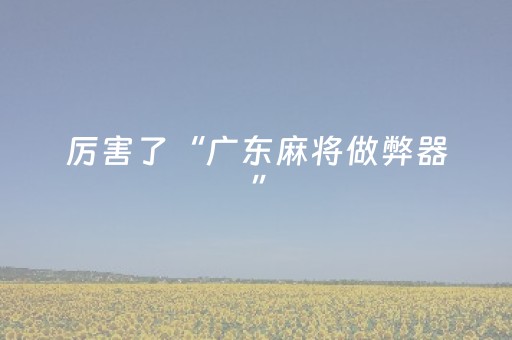 厉害了“广东麻将做弊器”（万能开挂神器)