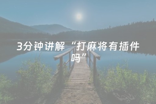 3分钟讲解“打麻将有插件吗”（外辅工具)