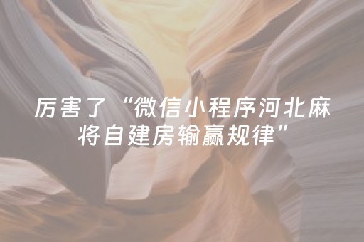 厉害了“微信小程序河北麻将自建房输赢规律”（开挂神器下载)