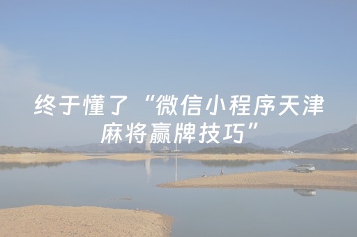 终于懂了“微信小程序天津麻将赢牌技巧”（插件开挂免费AI)