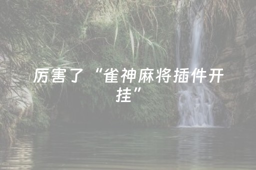 大神教教你“微信小程序浙江麻将攻略插件”（辅助器下载)