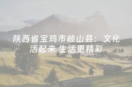 陕西省宝鸡市岐山县：文化活起来 生活更精彩