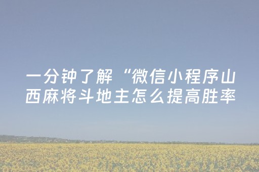 一分钟了解“微信小程序山西麻将斗地主怎么提高胜率”（软件出售)