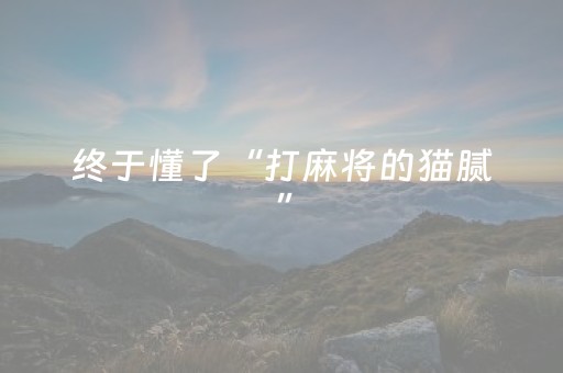 终于懂了“打麻将的猫腻”（怎么增加胜率)