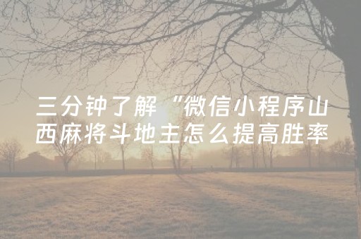 三分钟了解“微信小程序山西麻将斗地主怎么提高胜率”（辅助器通用版)