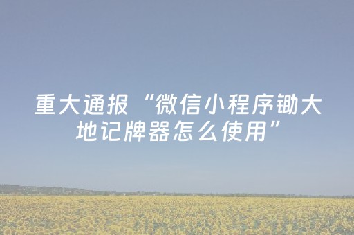 重大通报“微信小程序锄大地记牌器怎么使用”（有没有猫腻)