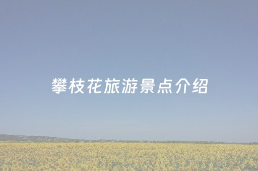 攀枝花旅游景点介绍（攀枝花旅游攻略景点）