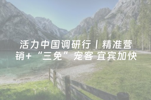 活力中国调研行丨精准营销+“三免”宠客 宜宾加快建设国际旅游城市