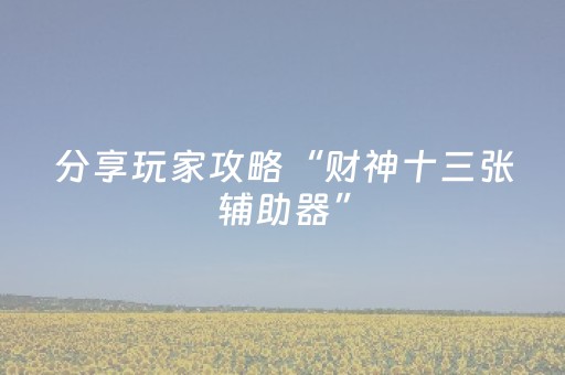 分享玩家攻略“财神十三张辅助器”（外辅工具)