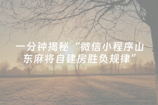 一分钟揭秘“微信小程序山东麻将自建房胜负规律”（有没有猫腻)