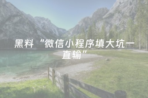黑料“微信小程序填大坑一直输”（如何提高胜率)