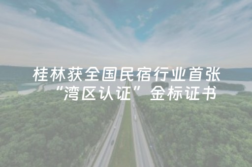 桂林获全国民宿行业首张“湾区认证”金标证书