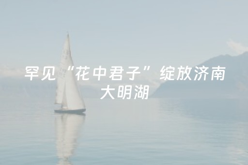 必备攻略“雀神广东麻将插件骗局最新曝光”（可以设置输赢吗)