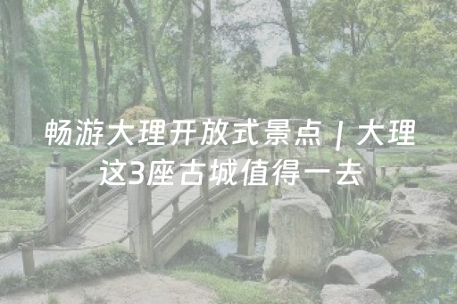玩家必看攻略“微信广东雀神麻将辅助器下载”（辅牌器插件购买)