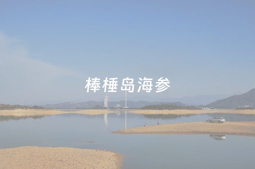 棒棰岛海参（棒棰岛海参胶囊骗局）