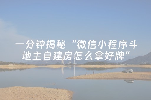 一分钟揭秘“微信小程序斗地主自建房怎么拿好牌”（辅助软件)