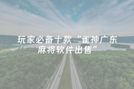 玩家必备十款“雀神广东麻将软件出售”（攻略插件)