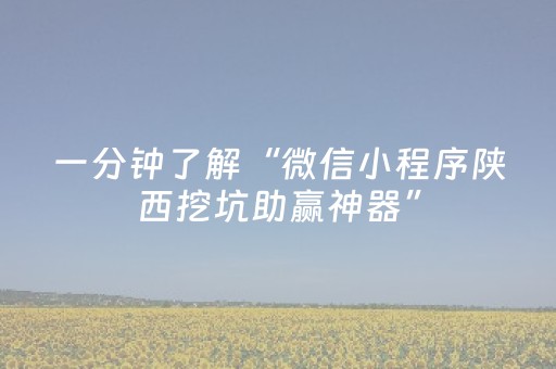 一分钟了解“微信小程序陕西挖坑助赢神器”（究竟是不是有挂)
