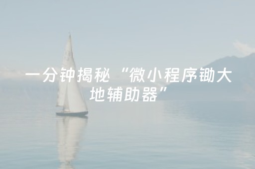一分钟揭秘“微小程序锄大地辅助器”（自建房怎么赢)