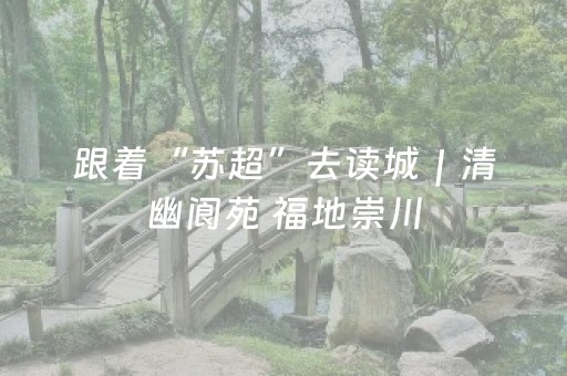 厉害了“微信财神十三张有挂的”（挂件神器)