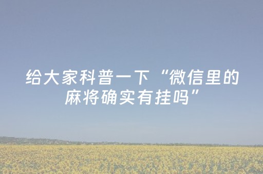 玩家必看科普“广东雀神麻将开挂骗局”（专用神器下载)