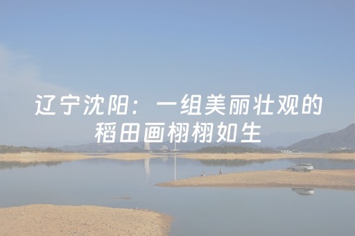 三分钟了解“微信小程序掼蛋记牌器”（通用挂软件多少钱)