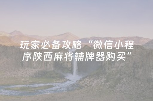 关于“微信小程序宁夏麻将插件购买”（为什么有人一直赢)