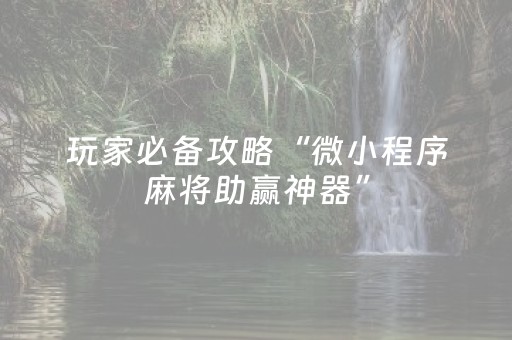 玩家必备攻略“微小程序麻将助赢神器”（外辅工具)