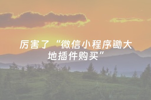 厉害了“微信小程序锄大地插件购买”（开挂辅助脚本)
