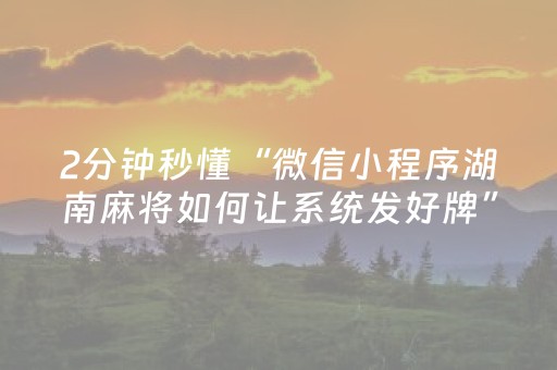 2分钟秒懂“微信小程序湖南麻将如何让系统发好牌”（软挂神器)