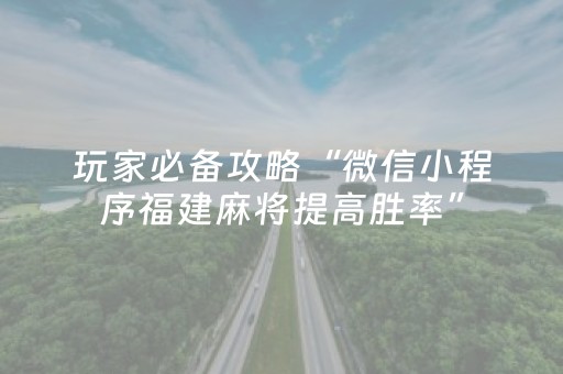 玩家必备攻略“微信小程序福建麻将提高胜率”（软挂神器)