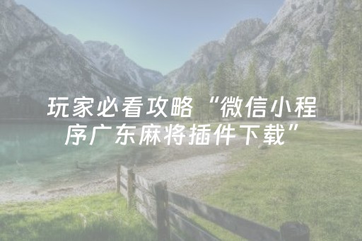 玩家必看攻略“微信小程序广东麻将插件下载”（确实有插件吗)