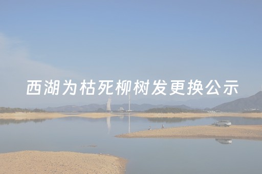西湖为枯死柳树发更换公示，网友：“西湖每棵树都有自己的粉丝”