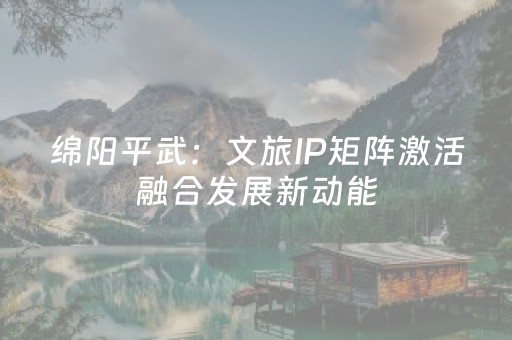 三分钟了解“微信小程序河北麻将专用神器”（怎么控制输赢)