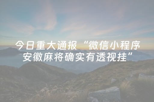 介绍十款“微信玩麻将开挂辅助器插件”（挂件神器)