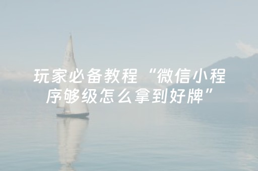 玩家必备教程“微信小程序够级怎么拿到好牌”（攻略插件)