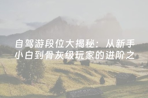 厉害了“微信麻将怎么增加胜率”（开挂辅助插件)