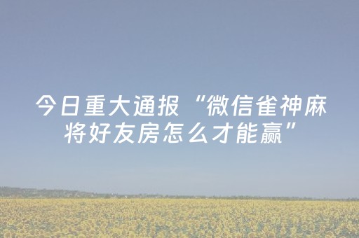 大神教教你“兴动麻将做弊器软件下载”（控牌神器)