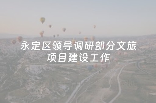 永定区领导调研部分文旅项目建设工作