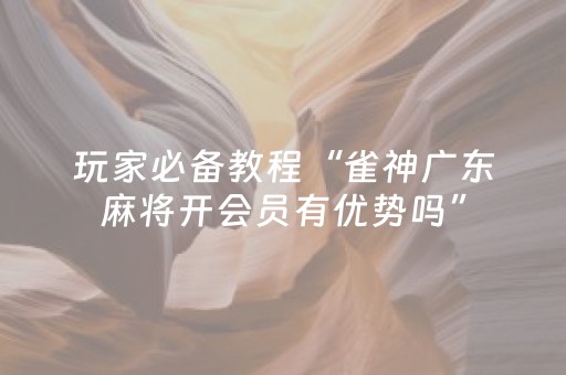 玩家必备教程“雀神广东麻将开会员有优势吗”（控牌器)