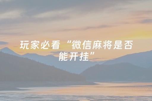 玩家必看“微信麻将是否能开挂”（开挂辅助脚本)
