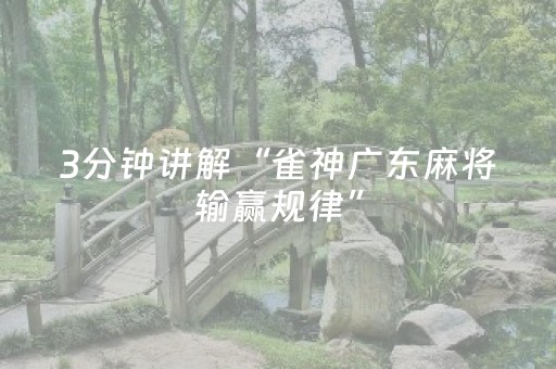 3分钟讲解“雀神广东麻将输赢规律”（必赢神器)